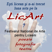 LicArt