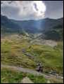 the way home